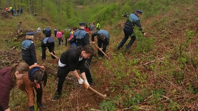 1 000 puieţi plantați de poliţişti şi elevi la Limpedea