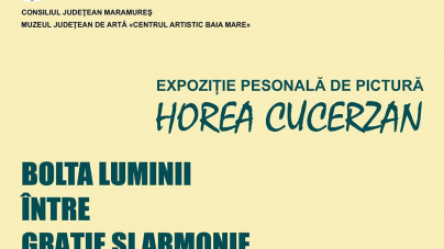 Expoziție de pictură la Muzeul de Artă