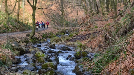 Acțiune de ecologizare pe Valea Usturoiului