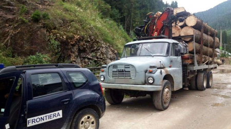 Amenda a fost mai mare decât valoarea lemnului furat