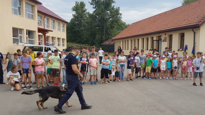 Câinii poliţişti Teba şi Vis –  demonstrații de… vis la Dumbrăvița