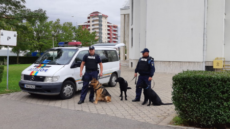 De la Castane a ajuns rapid în arest