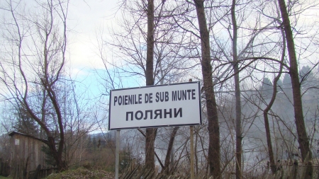 Suspiciune de pruncucidere: bebeluș mort, aruncat în apa râului din Poienile de sub Munte