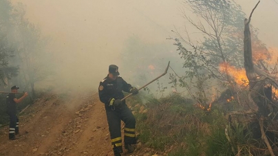 Sute de hectare de vegetație căzute pradă focului