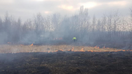 Nicio zi fără incendii de vegetație