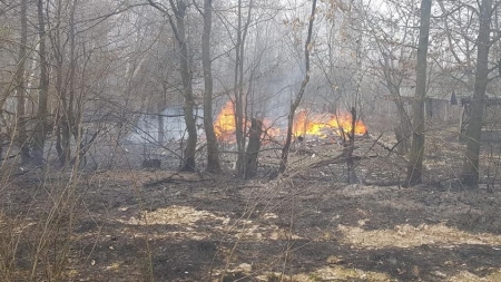 Doi morți în urma unui incendiu de vegetație uscată