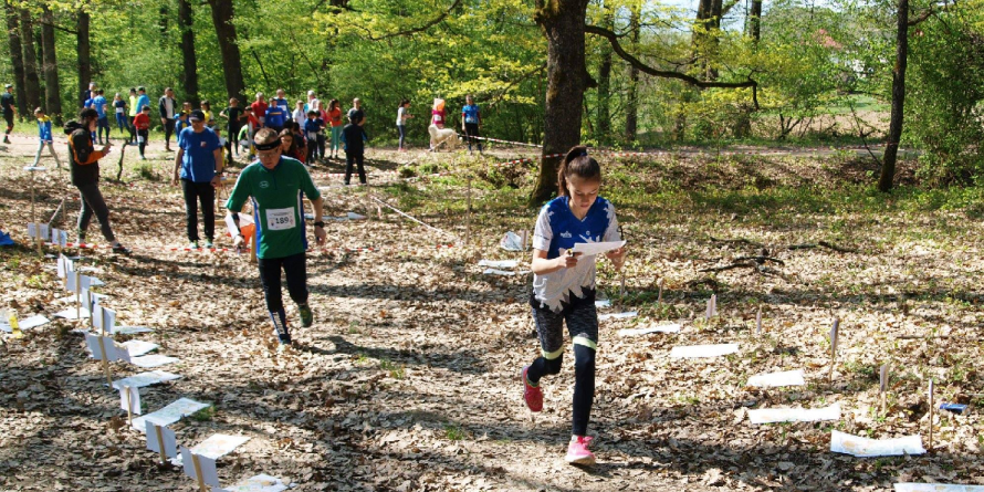 Sportivii băimăreni au câștigat 16 medalii de aur la campionatele naționale de orientare (GALERIE FOTO)