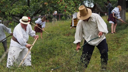 A treia încercare a fost cu noroc: “Claca de coasă” s-a ținut la Muzeul Satului (GALERIE FOTO)