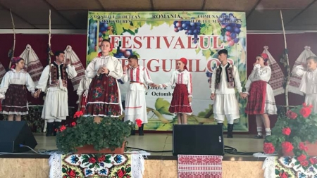 „Festivalul strugurilor” în Săsar