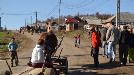 Controale cu  câini polițiști în zona Ponorâta