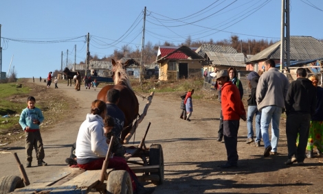 Controale cu  câini polițiști în zona Ponorâta