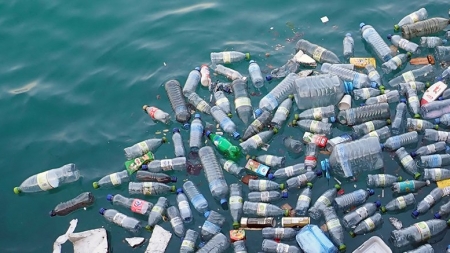 Proiecția ”Poveștii oficiale a piraților de plastic”