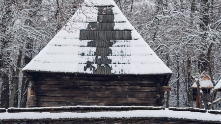 Semnul crucii a apărut pe acoperișul unei case din Maramureș, aflată în Muzeul Astra din Sibiu