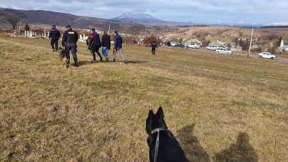 Minori francezi rătăciți în pădure, găsiți cu sprijinul câinilor Teba și Vis de la IPJ (GALERIE FOTO)