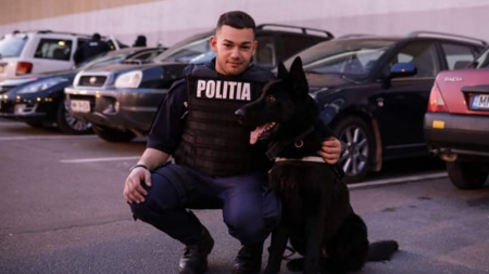 Câinele polițist Wat „a mirosit” țigările de contrabandă aflate într-o mașină parcată în Baia Mare