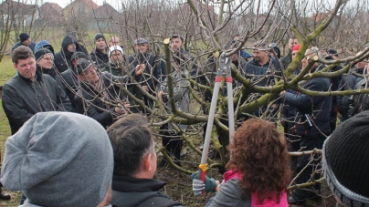 Seminar de pomicultură la Seini (GALERIE FOTO)