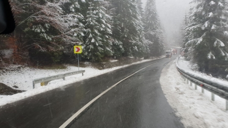 Vremea exactă în Maramureș, joi, 14 ianuarie