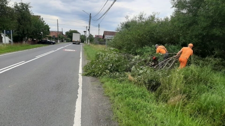 Maramureș: Lucrări de cosire a vegetației pe mai multe tronsoane din DN 1C și DN 19 (GALERIE FOTO)