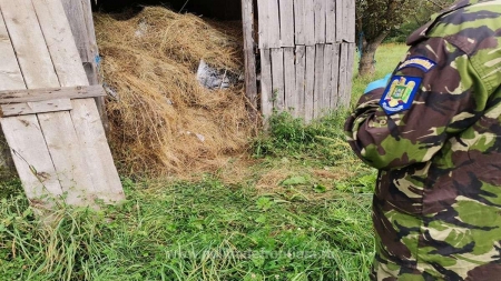 La marginea Maramureșului: 6.300 pachete cu țigări descoperite într-un șopron cu fân (VIDEO ȘI FOTO)