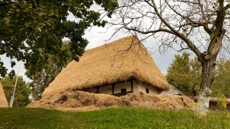 La Muzeul Satului: A fost restaurat acoperișul Șurii Buteasa, respectiv cel al Casei Preluca (GALERIE FOTO)