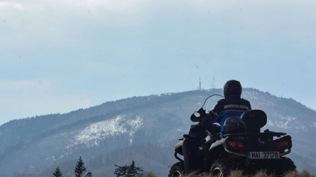 Anchetă: Se taie la greu în codrii Maramureșului! Cel mai recent caz, în Budești. Ce măsuri au luat pădurarul și jandarmii (FOTO)