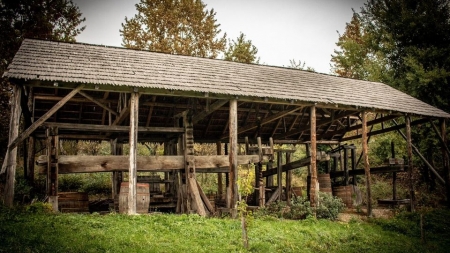 „Șitaua” și vinul de Maramureș sau cum se făcea viticultura pe vremuri (GALERIE FOTO)