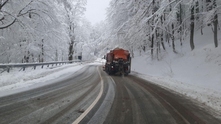 Vremea exactă în Maramureș, joi, 21 ianuarie