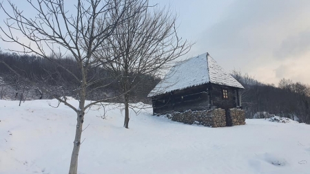 Casa Pălăguță din Muzeul Satului Baia Mare: „Tezaurul de neprețuit al acestei case îl reprezintă poveștile generațiilor care au viețuit din ea” (FOTO)