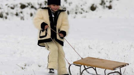 De pe vremea bunicilor: Cine făcea săniuțele de care se bucurau atât de mult coconii în zilele cu omăt?