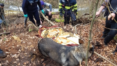 Actualizare 2: Tragic: O femeie de 80 de ani din Țara Lăpușului, dispărută de acasă, a fost găsită decedată de echipele de intervenție. Cum s-a întâmplat totul (FOTO)