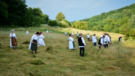 Ca pe vremuri: A fost clacă de coasă pe Valea Mare (FOTO)