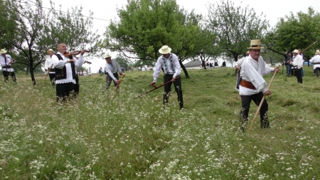 A fost clacă de coasă la Codru Butesii; S-au dat și premii pentru „cel mai bun cosaș”