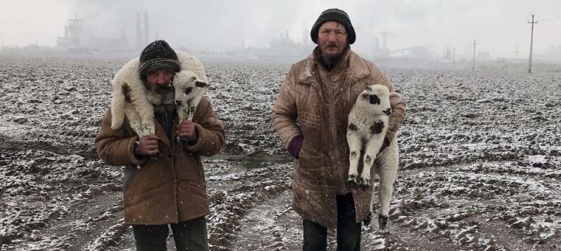 Un fotograf de origine română, desemnat marele câştigător al iPhone Photography Awards