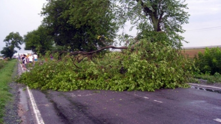 Efectele furtunii în Maramureș: Intervenții ISU pentru degajarea arborilor căzuți pe carosabil. Traficul rutier a fost chiar oprit temporar