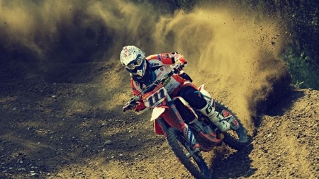 Dosar penal: Un tânăr a lovit un căprior cu motocross-ul în Boiu Mare. Nu avea permis corespunzător categoriei, iar vehiculul nu era înmatriculat