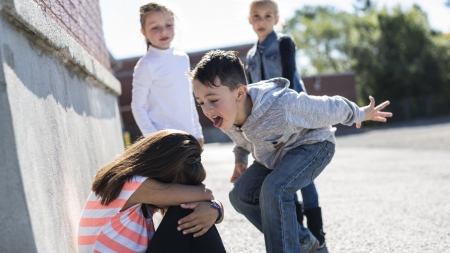 Pentru binele copiilor noștri: În județul Maramureș strânsă colaborare între polițiști și cadrele didactice care are ca scop prevenirea bullying-ului în școli!