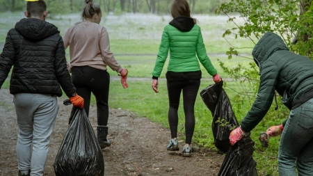 Acțiuni de ecologizare în zona Baia Mare; Puteți să vă implicați și dumneavoastră