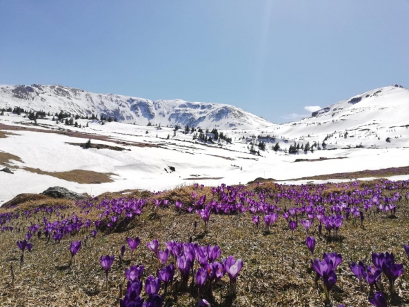 Vremea exactă în Maramureș, luni, 4 aprilie