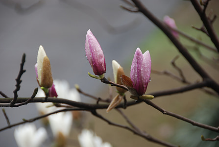 Vremea exactă în Maramureș, sâmbătă, 2 aprilie