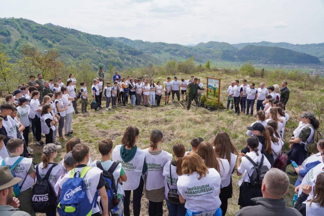 Campanie benefică pentru mediu: În județul Maramureș în acțiunile de împădurire s-au plantat puieți în toate regiunile. Total 50000 în o primăvară!