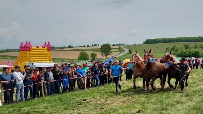 Festival Ecvestru în Suciu de Sus; Iubitorii de cai sunt așteptați la eveniment