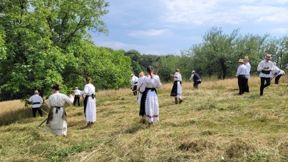 Cine sunt câștigătorii concursului de coasă de la Codru Butesii (FOTO)