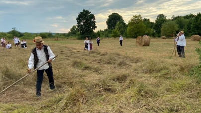 A fost clacă la coasă în Săcălășeni (FOTO)