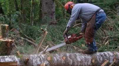 Controale ITM la firmele care efectuează activităţi de exploatare forestieră