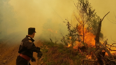 Aceeași poveste din fiecare primăvară în Maramureș: Vremea frumoasă de primăvară aduce creștere semnificativă a incendiilor! Apel de la autorități!