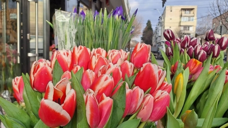 Vremea exactă în Maramureș, joi, 4 mai