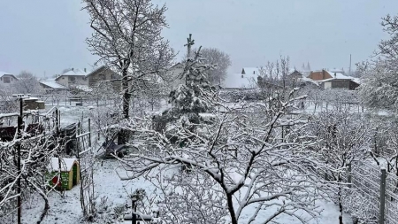 Vremea exactă în Maramureș, luni, 11 decembrie