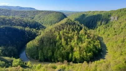 Idee atractivă pentru mișcare: Imagini cu aria protejată maramureșeană care surprinde prin autentica frumusețe! Are floră, dar și faună captivante!