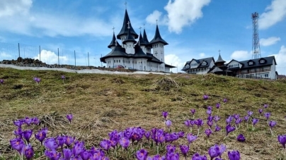 Un regal al naturii: Treptat, în aria montană maramureșeană, se vede, în imagini superbe, cum se instalează primăvara! Munții Rodnei prind culoare!