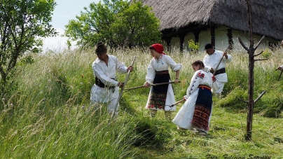 Ca pe vremuri: Clacă de coasă la Muzeul Satului din Baia Mare